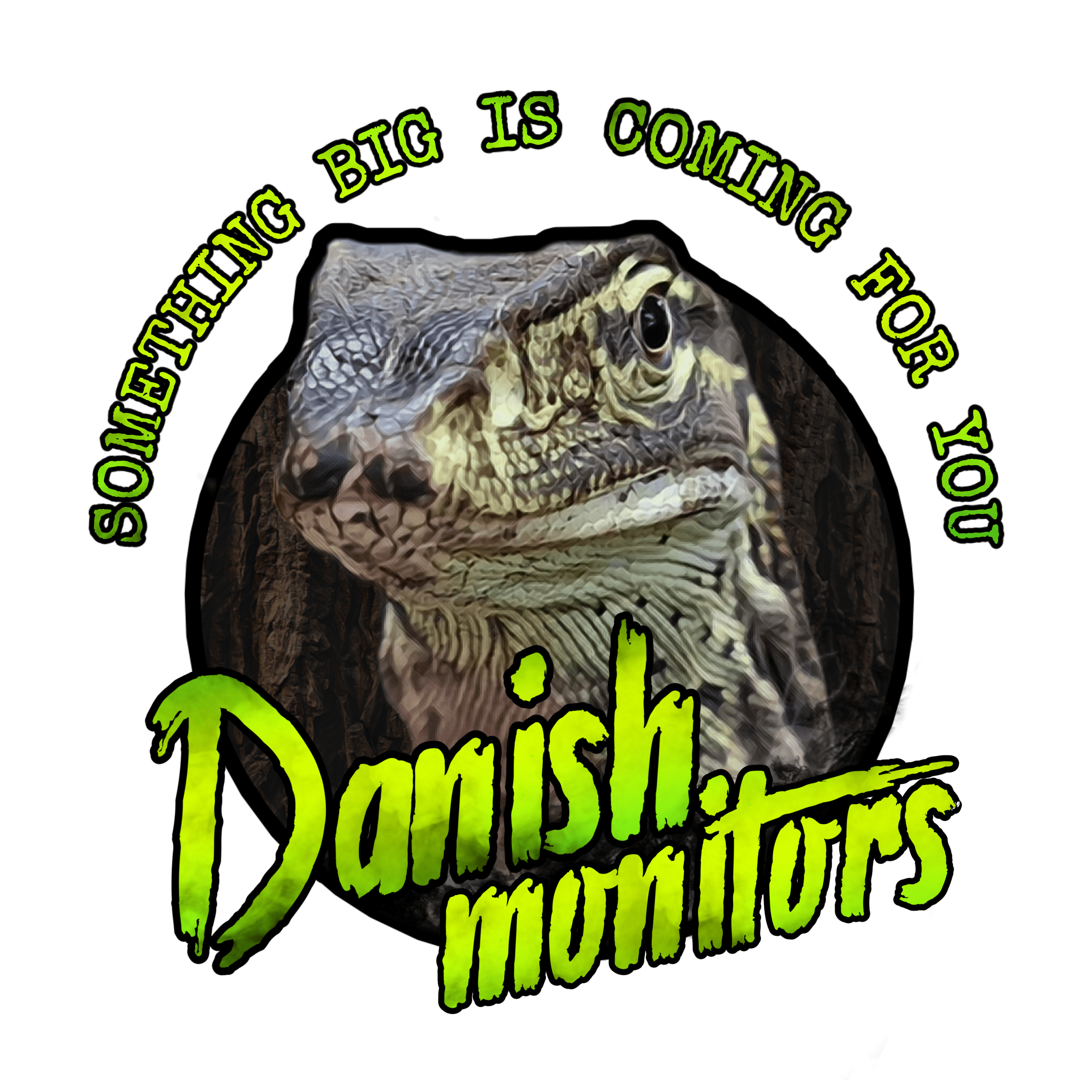 Danish Monitors